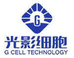 Guangzhou  G  -  Zelle  Technologie  Co.,  Ltd.